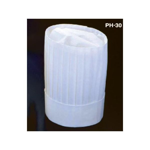 アズワン ニュータイプパリスハット(10枚入)300mm 67-6899-26 1セット(10枚)（直送品）