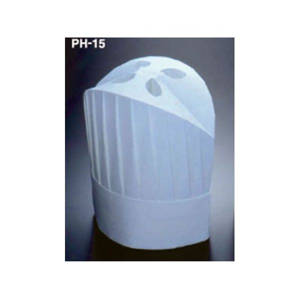 アズワン ニュータイプパリスハット(10枚入) 67-6899-27 1セット(10枚)（直送品）