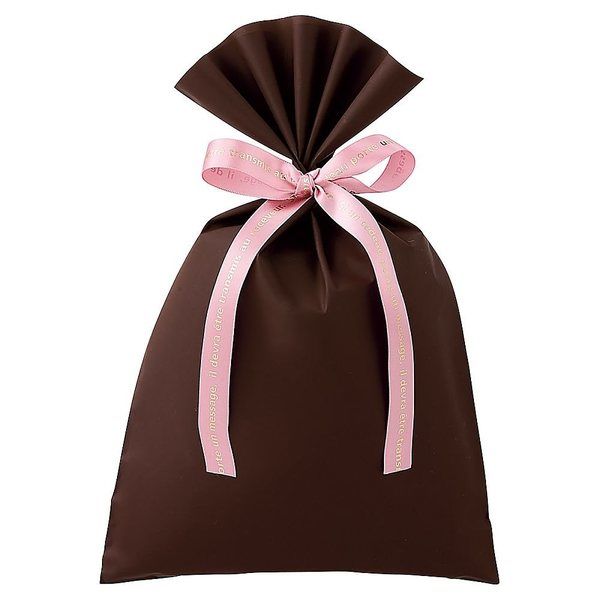 アズワン 無地 梨地ギフトバッグ ブラウン 幅20×高さ32cm 20枚 67-6872-96 1セット(20枚)（直送品）