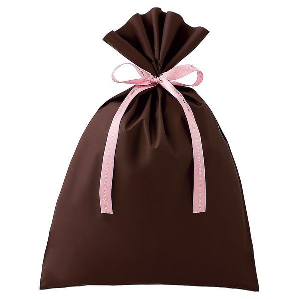 アズワン 無地 梨地ギフトバッグ ブラウン 幅30×高さ43cm 20枚 67-6872-98 1セット(20枚)（直送品）