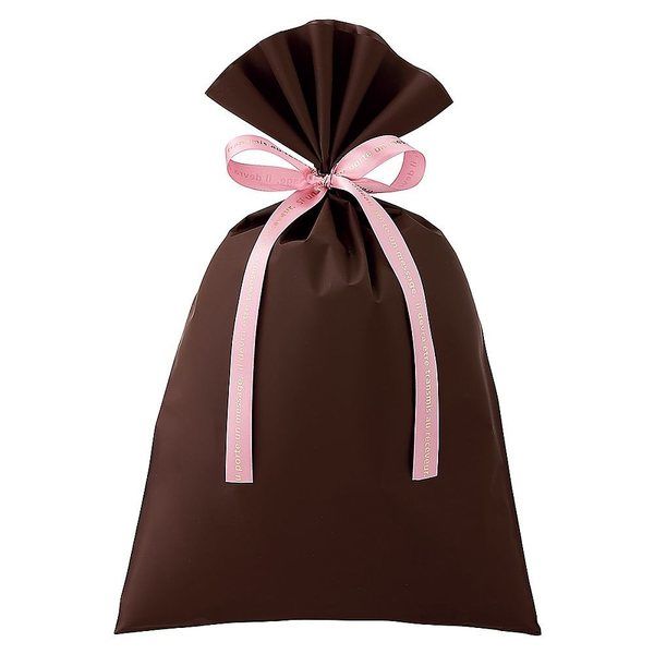 アズワン 無地 梨地ギフトバッグ ブラウン 幅24×高さ38cm 20枚 67-6872-97 1セット(20枚)（直送品）