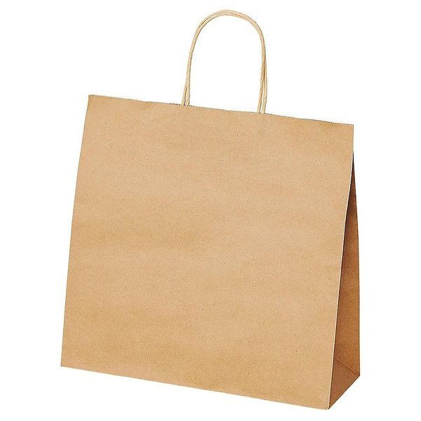 アズワン 手提紙袋 丸ヒモ 再生紙タイプ 幅32×奥行11.5×高さ31cm 300枚 67-6873-15 1セット(300枚)（直送品）