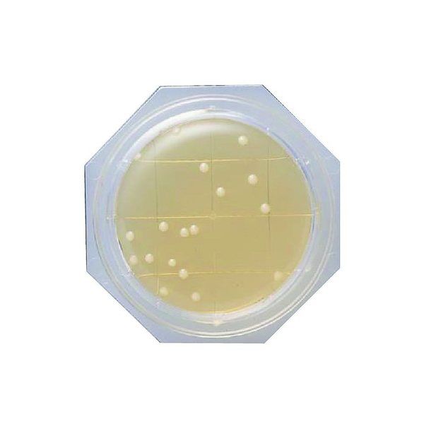 島津ダイアグノスティクス クリーンスタンプ(R)10 SCDLP寒天培地 1箱(100枚入) 6786 1箱(100枚)（直送品）