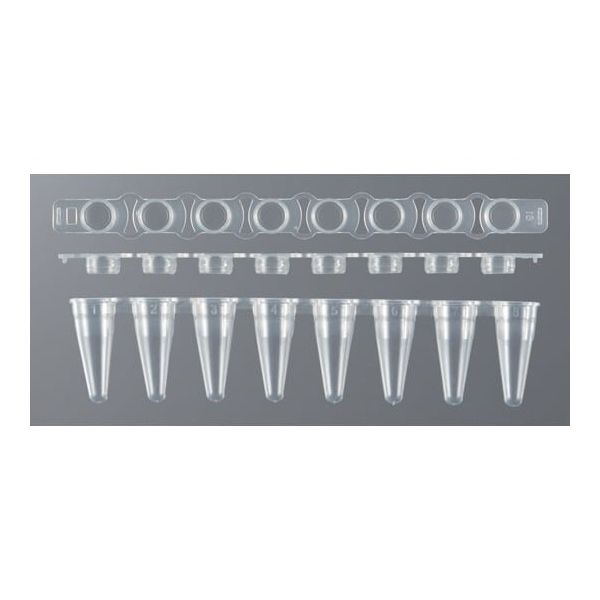 イナ・オプティカ PCR用8連チューブ/キャップセット 0.1mL フラットキャップ 125セット入 3145-00 1箱(125セット)（直送品）