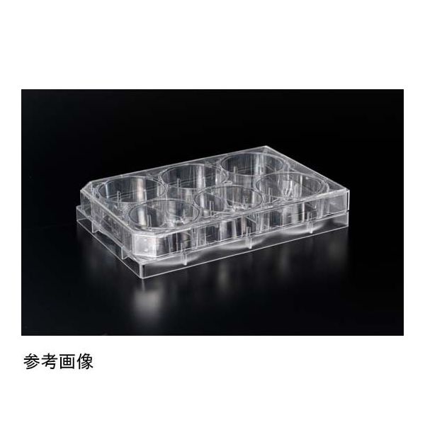 AGCテクノグラス ポリーLーリジンコート マイクロプレート 6well 20枚入 4810-040N 1箱(20枚) 67-4744-86（直送品）