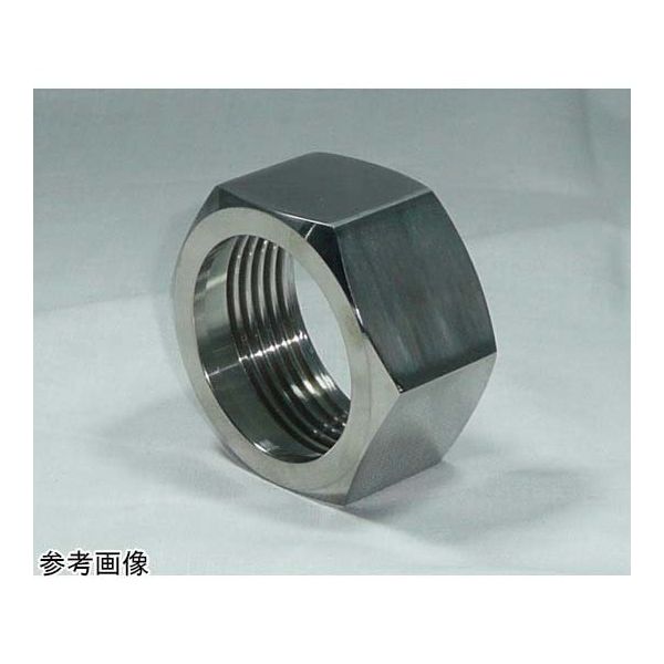 アズワン SUS 304 六角ナット 3S 67-5196-17 1個（直送品）