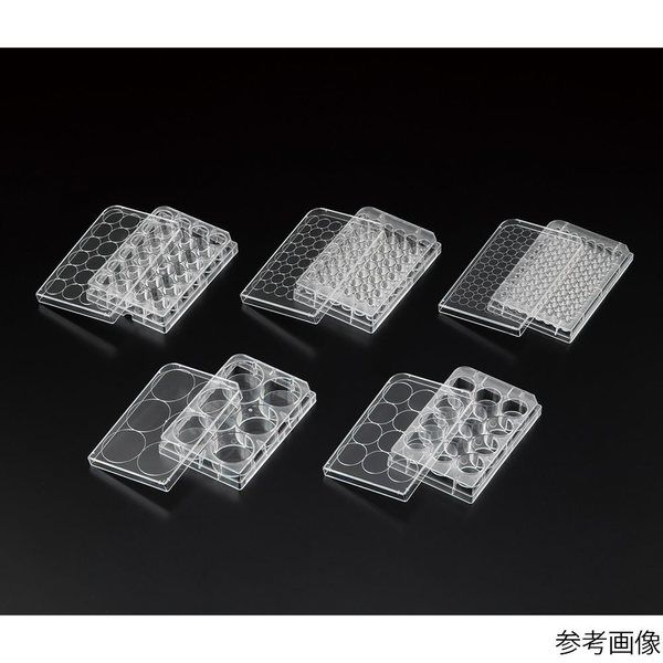 アズワン ビオラモ浮遊細胞用培養プレートα 24ウェル 1箱(50包入) VF-P24 1箱(50包) 4-5739-03（直送品）