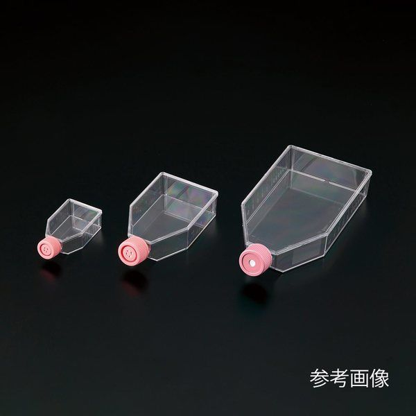 アズワン ビオラモ細胞培養フラスコα(ベントキャップ)175cm2 1箱(5個×8包入) VTCa-F175V 1箱(40個)（直送品）