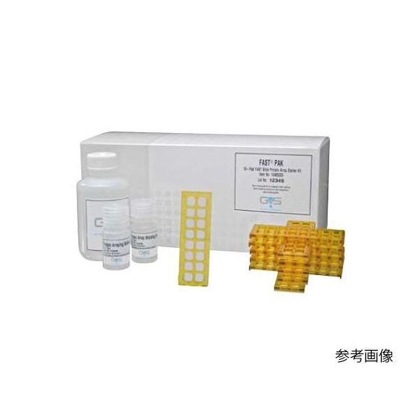 GVS タンパク質アレイ作成用バッファー (2X) 10mL 1箱(4本入) 10485331 1箱(4本) 64-3317-08（直送品）