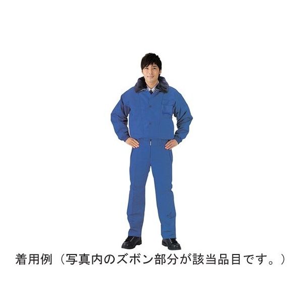 帝健 冷凍庫作業用防寒服 ズボン Mサイズ CWWB2(M) 1枚 65-0296-89（直送品）