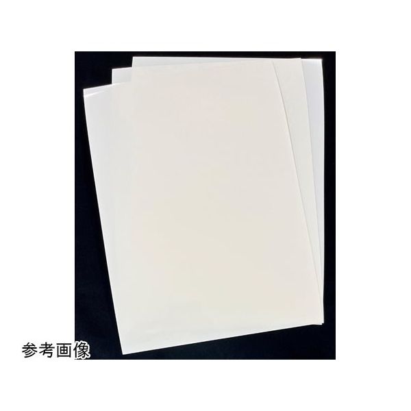 アズワン 難燃性ポリエステル系フィルム ダイアラミー(R) ナチュラル色 400μm厚 1袋(3枚入) 65-3743-68 1袋(3枚)（直送品）