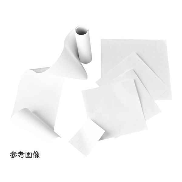 トランスファーメンブレン ニトロセルロース 100×100mm シート (サポートなし) 0.22μm 10pc 1213999（直送品）