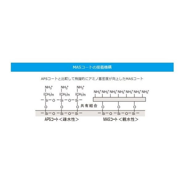 松浪硝子工業 MASコートスライドグラス 水切放フロスト t1.0 100枚入 S9227 1箱(100枚) 67-8067-09（直送品）