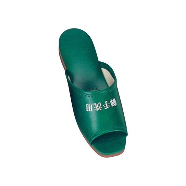 アズワン トイレ専用前開きスリッパ 御手洗用 ジャスパ グリーン 67-8164-48 1足（直送品）