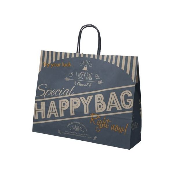 アズワン 福袋手提げ紙袋 ハッピーバッグ 67-8945