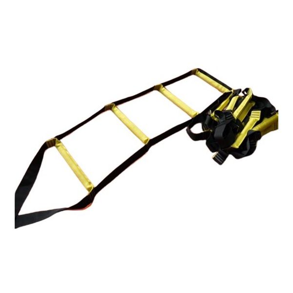 アズワン 槽内入出用ナイロンラダー 3m 67-9247-98 1セット（直送品）