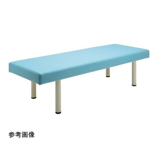 フィフティ・ヴィジョナリー 診察台ベッド 65ー65 ブルー FV-215-BL-W65-H65 1台 67-9285-30（直送品）