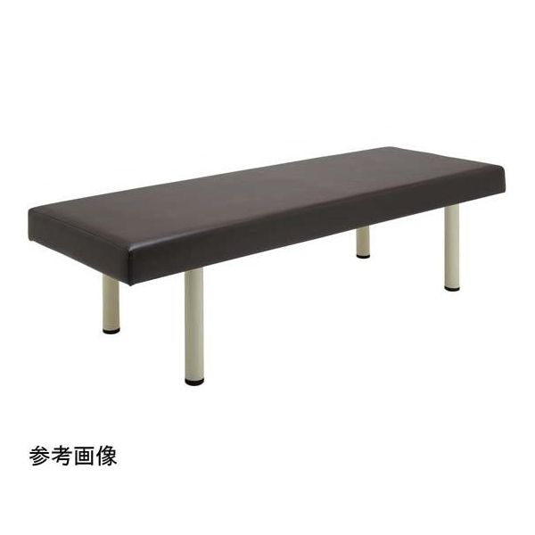 フィフティ・ヴィジョナリー 診察台ベッド 65ー40 ブラウン FV-215-BR-W65-H40 1台 67-9285-41（直送品）
