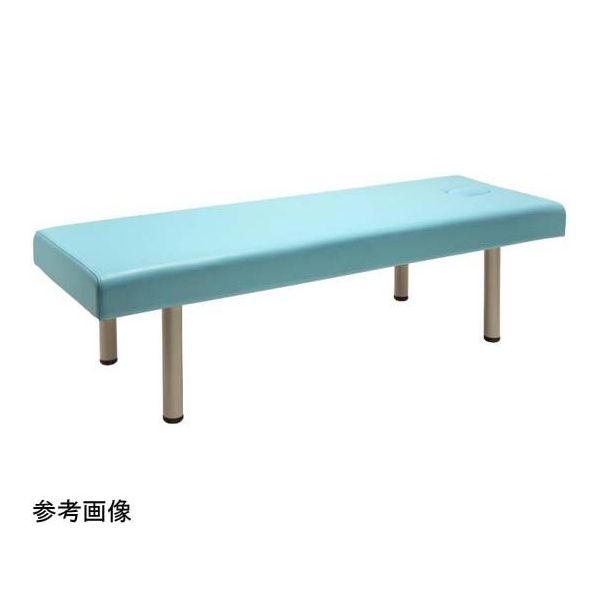 フィフティ・ヴィジョナリー 診察台ベッド [有孔タイプ] 65ー40 ブルー FV-215B-BL-W65-H40 1台（直送品）