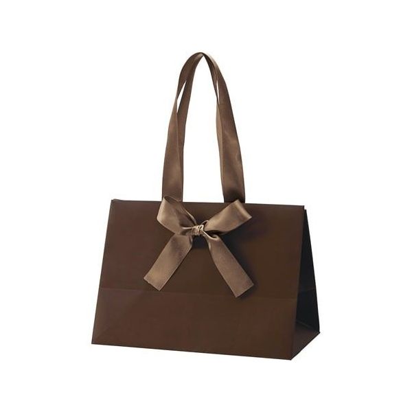 アズワン 手提げ紙袋 ノブレス ブラウン S 100枚 68-0317-11 1セット(100枚)（直送品）