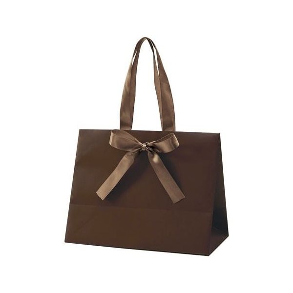 アズワン 手提げ紙袋 ノブレス ブラウン M 100枚 68-0317-12 1セット(100枚)（直送品）