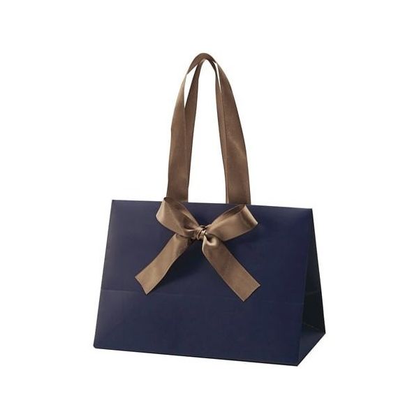 アズワン 手提げ紙袋 ノブレス ネイビー S 100枚 68-0317-13 1セット(100枚)（直送品）