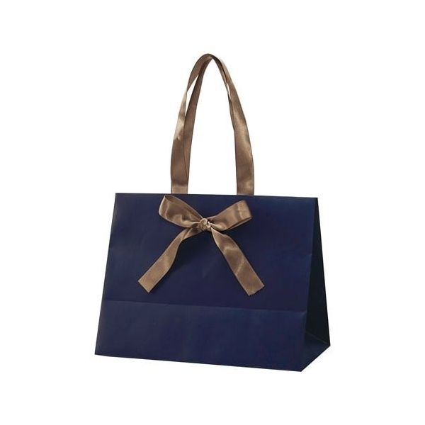 アズワン 手提げ紙袋 ノブレス ネイビー M 100枚 68-0317-14 1セット(100枚)（直送品）