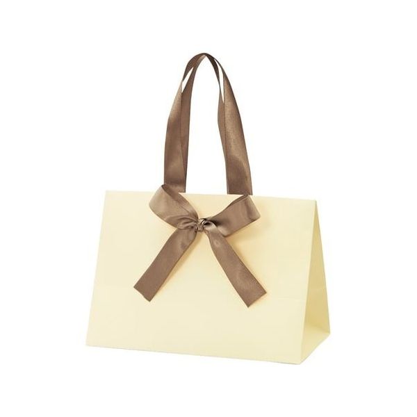 アズワン 手提げ紙袋 ノブレス クリーム S 100枚 68-0317-15 1セット(100枚)（直送品）