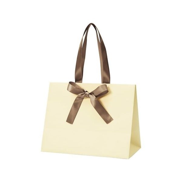 アズワン 手提げ紙袋 ノブレス クリーム M 100枚 68-0317-16 1セット(100枚)（直送品）