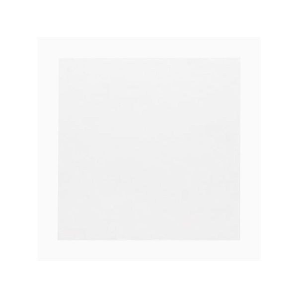 神堂 食品用フィルム 抗菌クリアシート 18×18 100枚入 004716365 1袋(100枚) 65-9114-49（直送品）