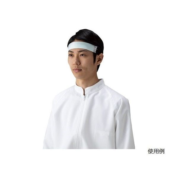 三高サプライ 汗取りバンド アセステ ロングタイプ 1袋(50枚入) 1-4964-12 1袋(50枚)（直送品）