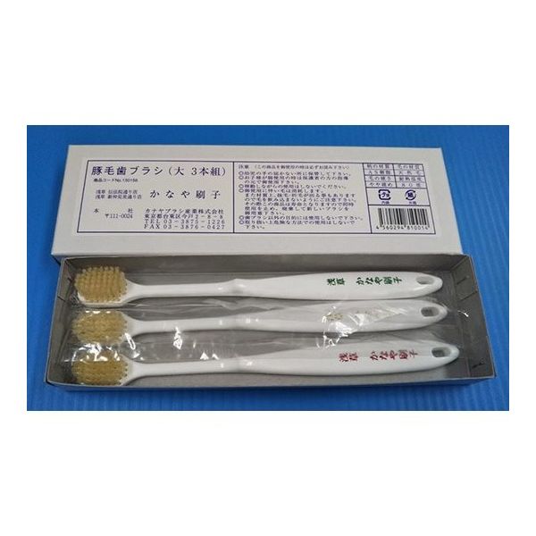 カナヤブラシ産業 歯ブラシ 豚毛 大 1箱(3本入) 64-7733-66 1箱(3本)（直送品）
