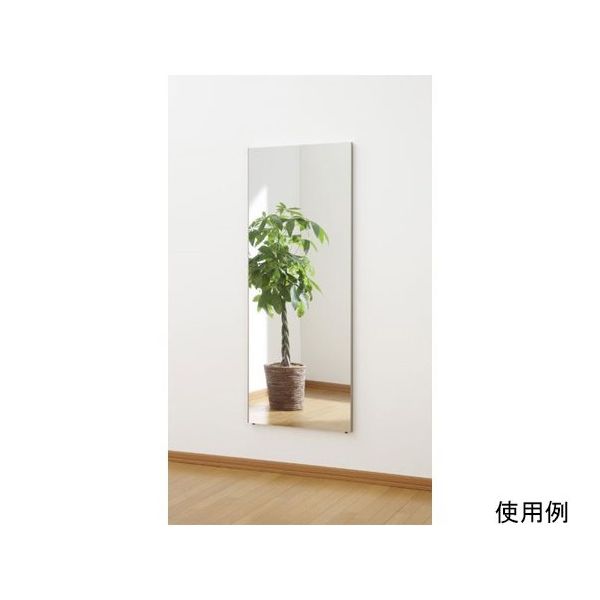 J.フロント建装 ビッグ姿見ミラー 60×150cm シャンパンゴールド RM-5-SG 1個 65-0325-24（直送品）