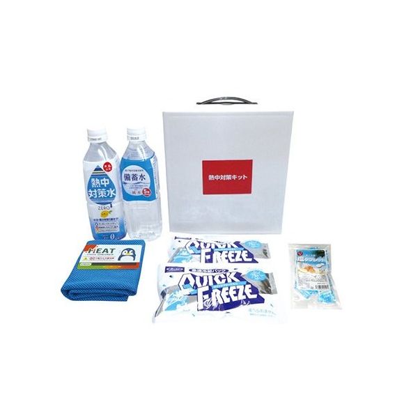 ブレイン 熱中対策キットミニ(MINI) BR-560 1個 62-9215-29（直送品）