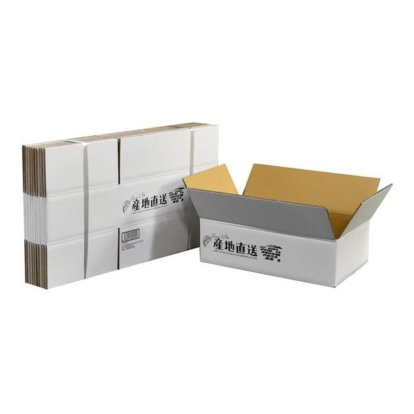 紺屋商事 ダンボール 産地直送お米10kg みかん6kg用 10枚入