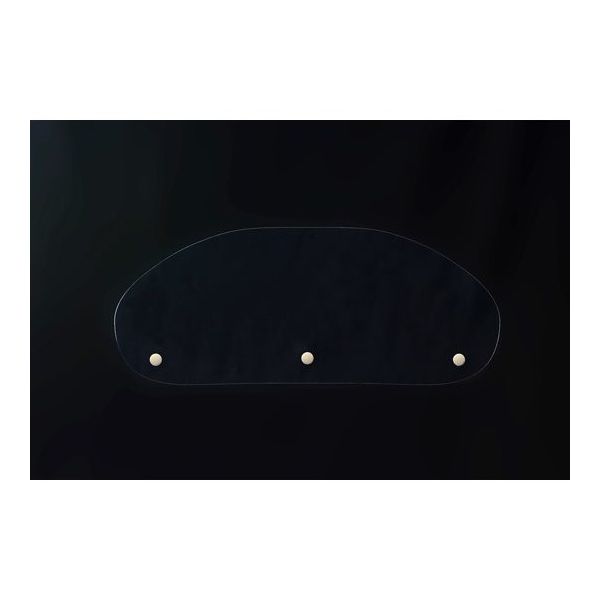 東洋リントフリー モスアイ構造シールド FZ563C マスク用ホック付き 10枚入 FZ9503 FREE 1袋(10枚)（直送品）