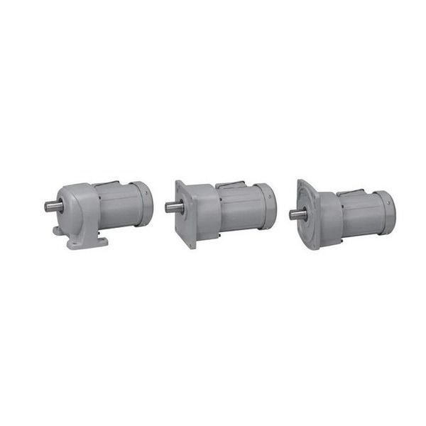ニッセイ GTR MID SERIES インダクションギアモータ (0.1kW~2.2kW) G3L32N600-MM01TKNTN 1台(直送品)