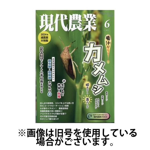 現代農業 2024/09/05発売号から1年(12冊)（直送品）