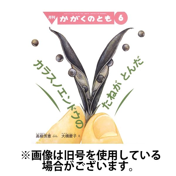 かがくのとも 2024/09/03発売号から1年(12冊)（直送品）