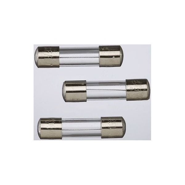 日本製線 ガラス管ヒューズ (タイムラグ) 1A 5x20mm 1袋(10個入) FSL 250V 1A(EM) 1袋(10個)（直送品）