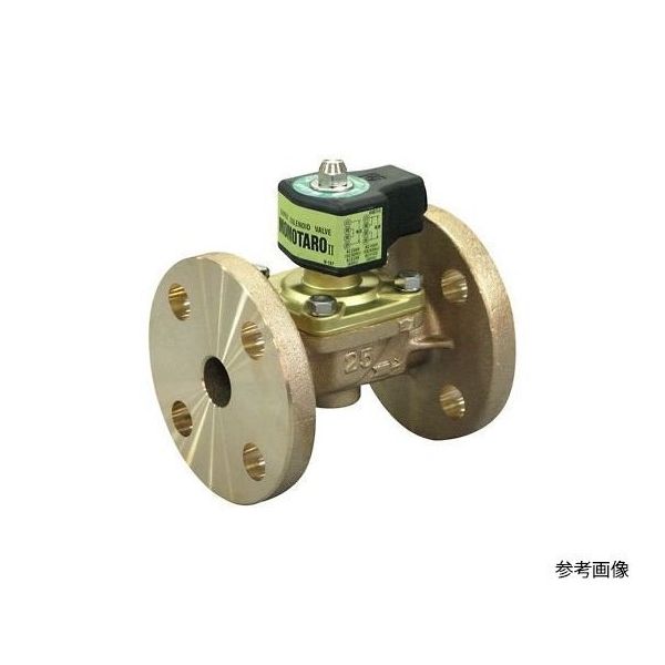 ベン 桃太郎II 青銅電磁弁【フランジ・通電開・ダイヤフラム式】 WF22-F-20A 1個 64-1035-95（直送品）