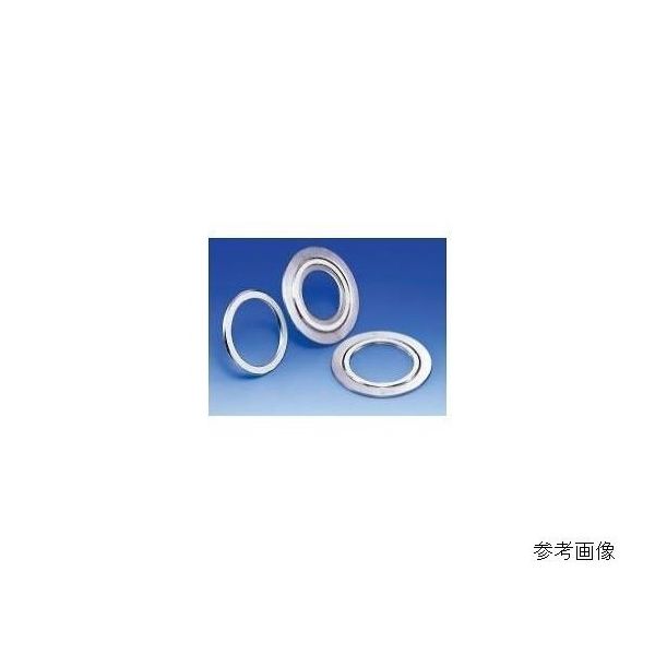 バルカー ノンアス 内外輪付(炭素鋼/炭素鋼) クリーンタイトパッキン V8596V-SESZZ-20K-20A 1枚 64-3989-03（直送品）