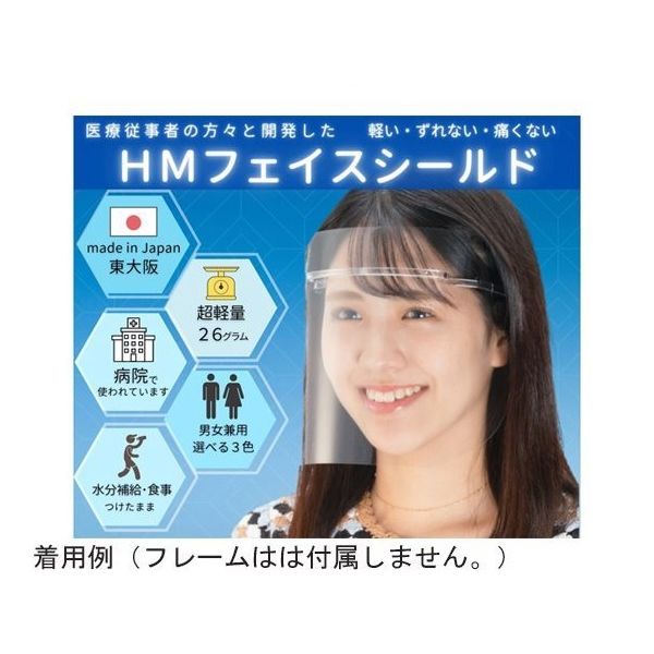 ミノル化学工業 HMフェイスシールド クリア 替シールド 10枚入 hmfs_shield_10set 1セット(10枚)（直送品）