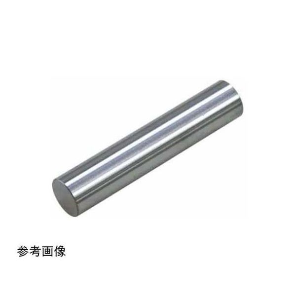 アイゼン ピンゲージ プラケース付 呼び寸法13.00mm EP13.00 1本 65-4029-08（直送品）