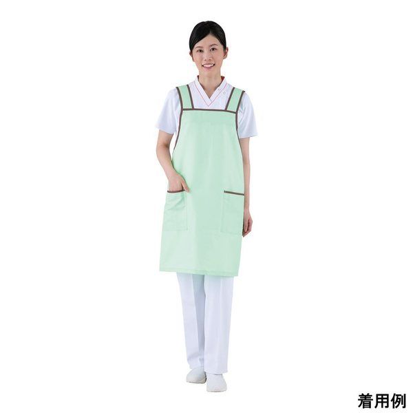 アズワン エプロン グリーン フリー 66-0015-53 1枚（直送品）