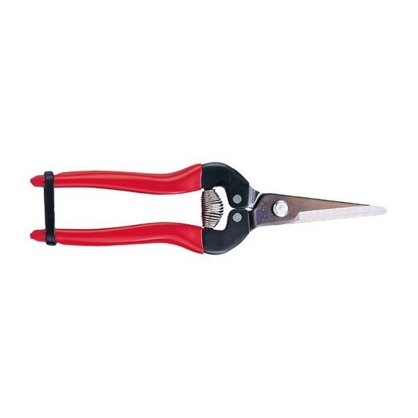 アルスコーポレーション 摘果鋏 ロング BP 300L-BP 1個 62-2242-68（直送品）