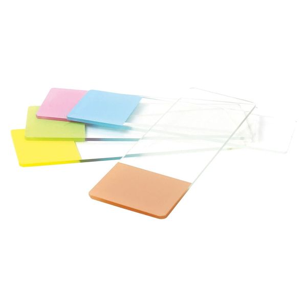 レオナ フロストスライドグラス（切放）