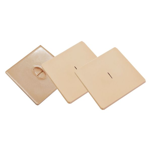 レジーナ ドレーン部処置モデル ー 25241601 BDP-120 1組（直送品）