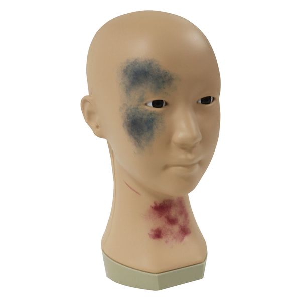 レジーナ メディカルメイクモデル 25241800 BMK-300 1台（直送品）