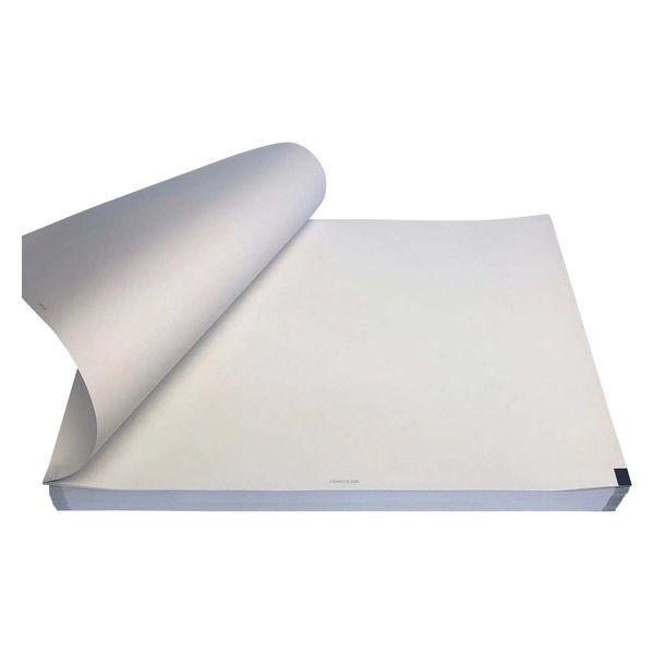 ちばら 心電図用記録紙 25386808 CQW210-10-295(5サツ) 1箱(5入)（直送品）